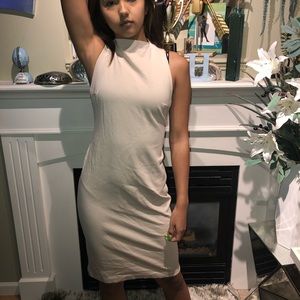 Aritzia (Babaton) Dress